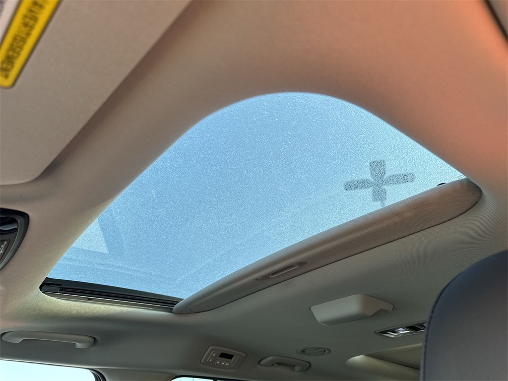 2025 Kia Carnival SX Prestige photo 27