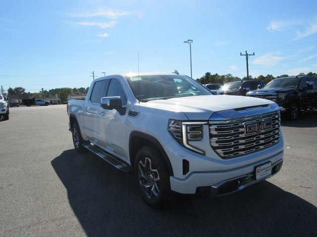 2022 Gmc Sierra 1500 Denali photo 4