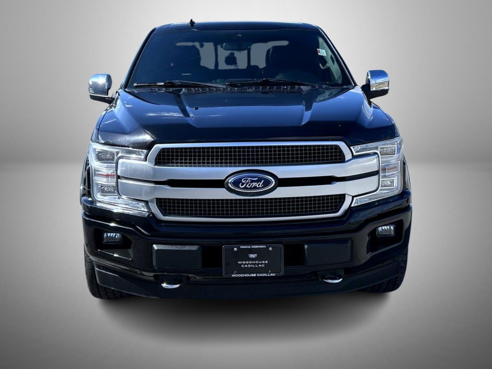 2019 Ford F-150 Platinum photo 2
