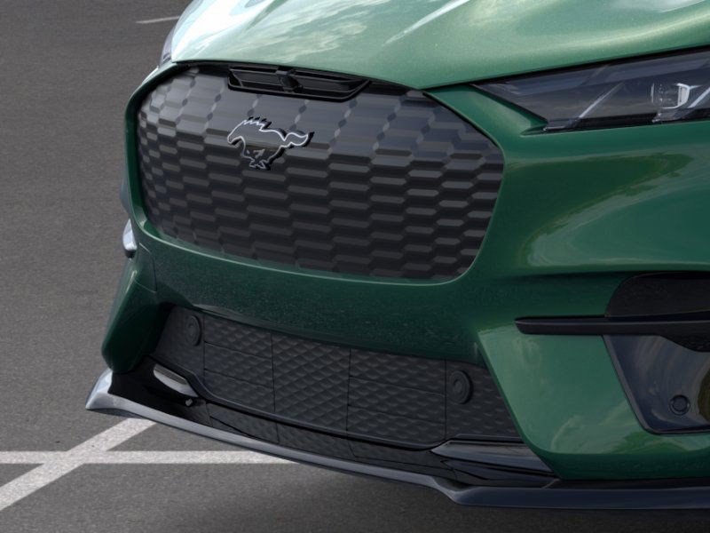 2025 Ford Mustang Mach-E Premium photo 15
