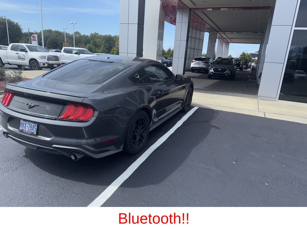2019 Ford Mustang EcoBoost photo 4