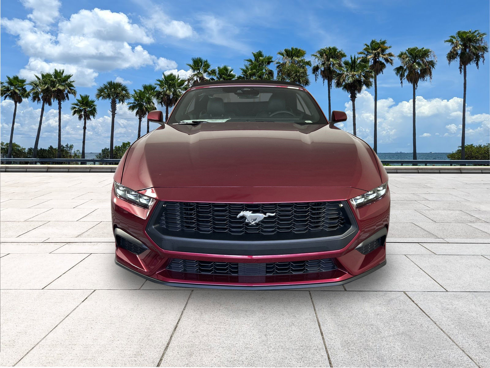 2025 Ford Mustang EcoBoost Premium photo 2