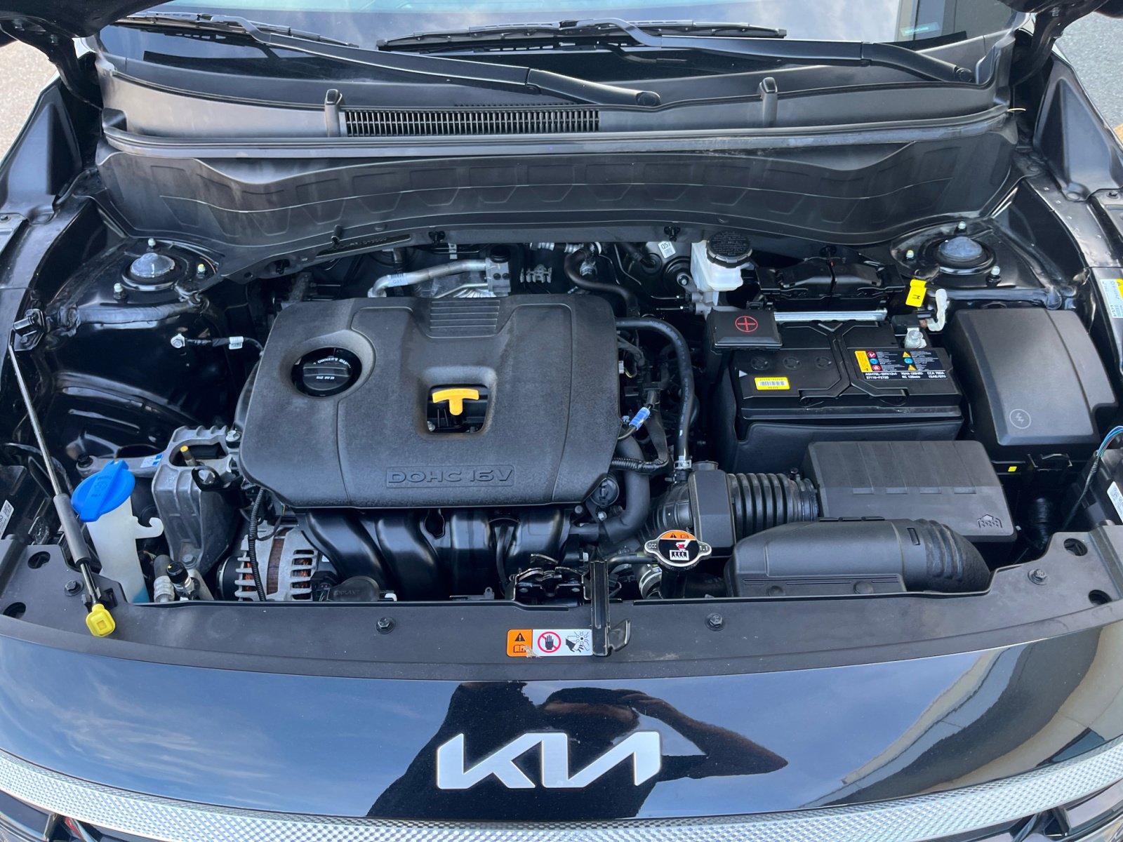 2024 Kia Seltos EX photo 5
