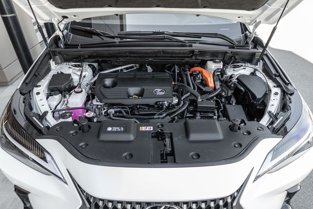 2025 Lexus NX 350h Premium photo 15