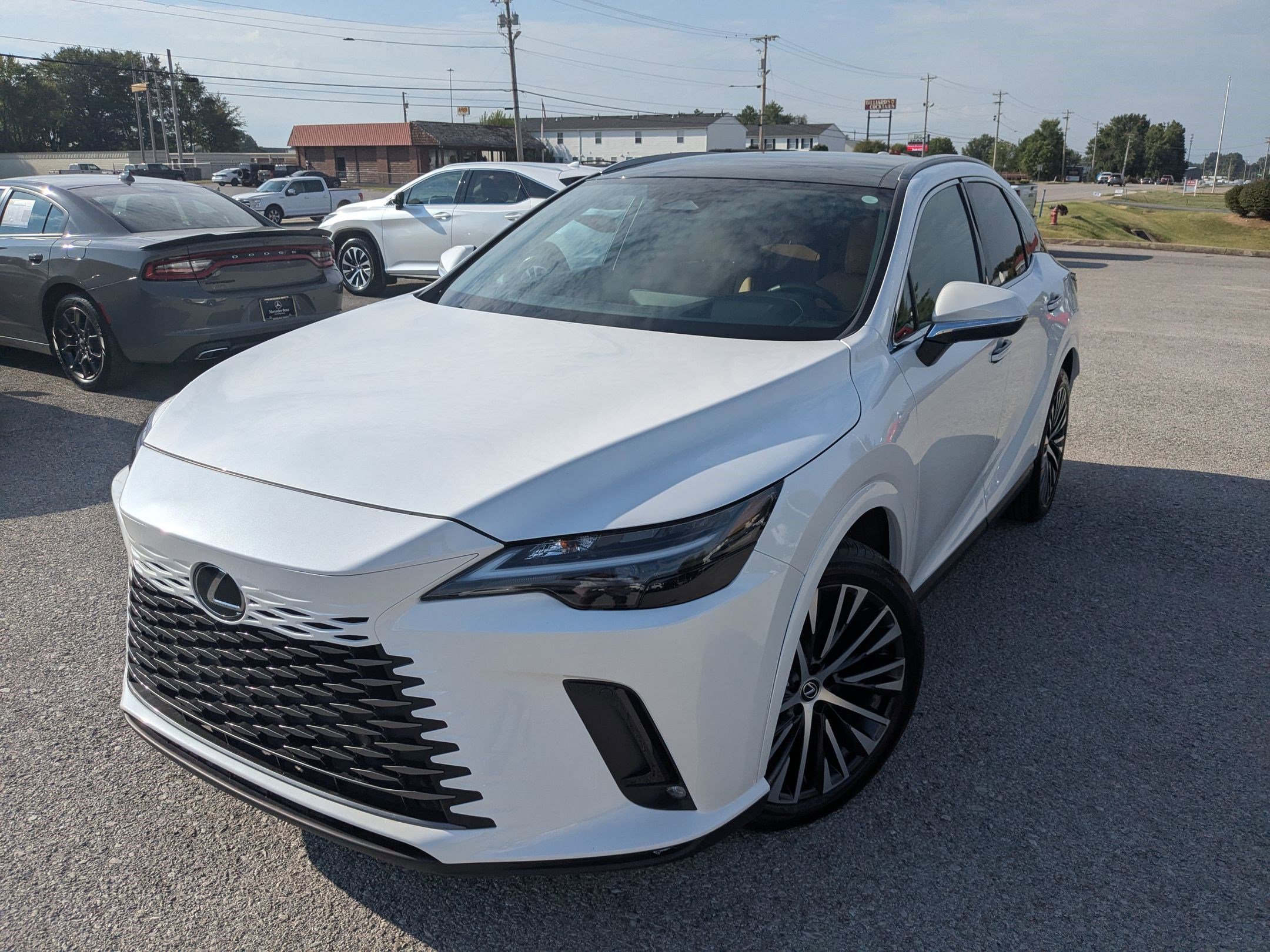 2023 Lexus RX Hybrid 350h's photo