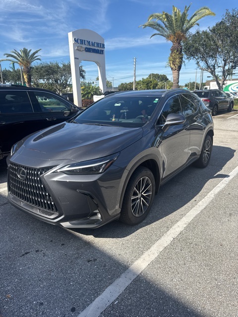 2024 Lexus NX 350's photo