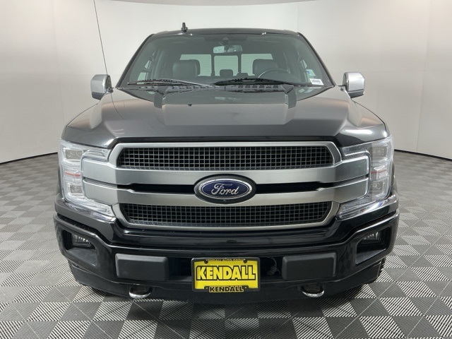 2019 Ford F-150 Platinum photo 2