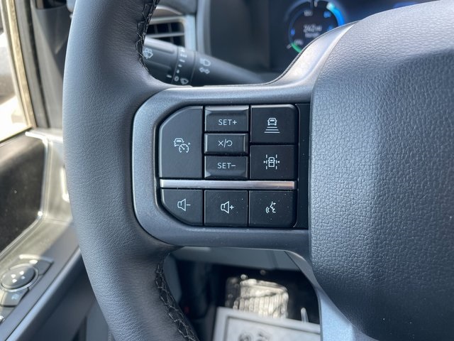 2025 Ford F-150 Lightning photo 22