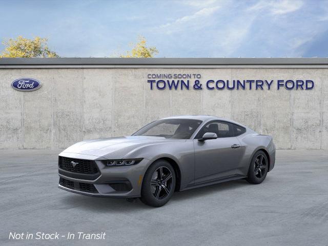 2025 Ford Mustang EcoBoost photo 11