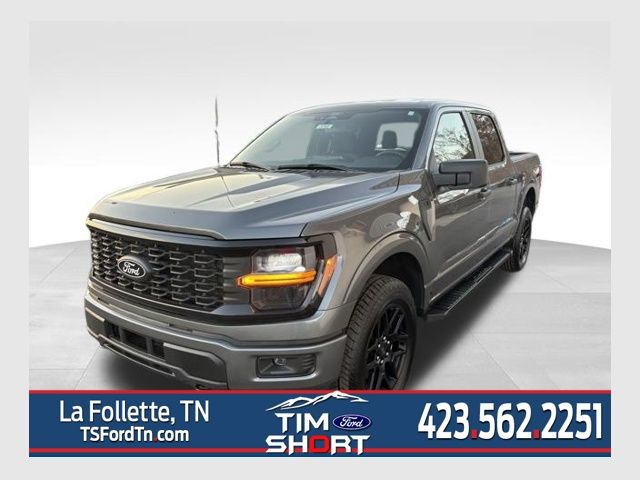 2025 Ford F-150 STX's photo