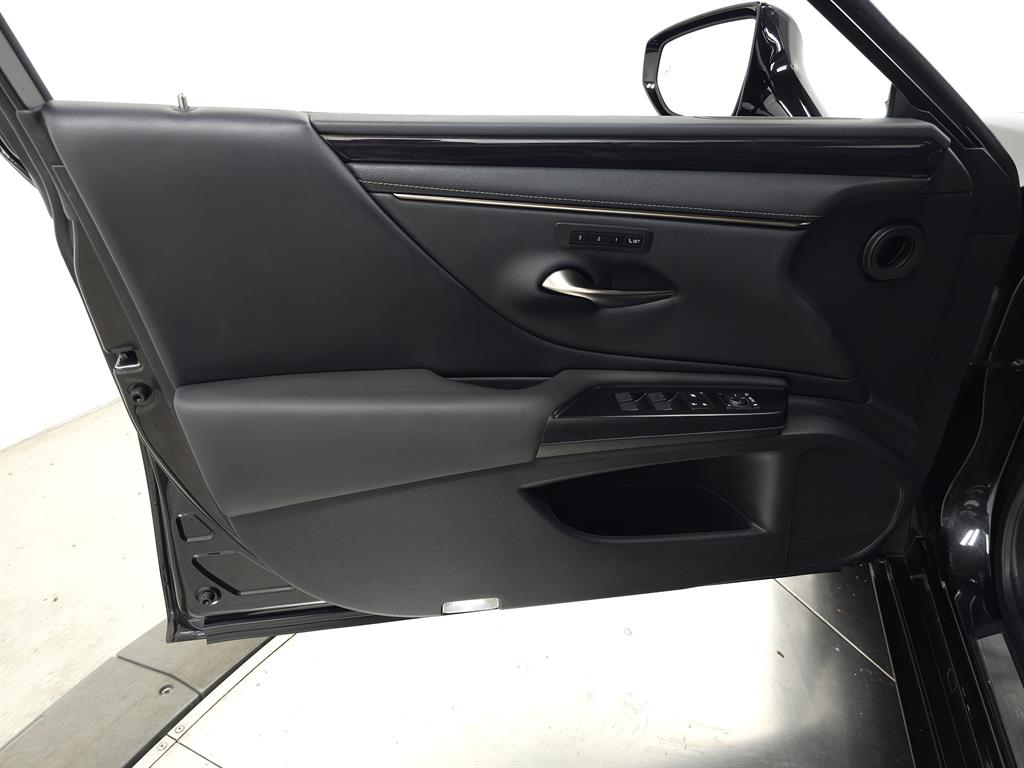 2020 Lexus ES 300h photo 12