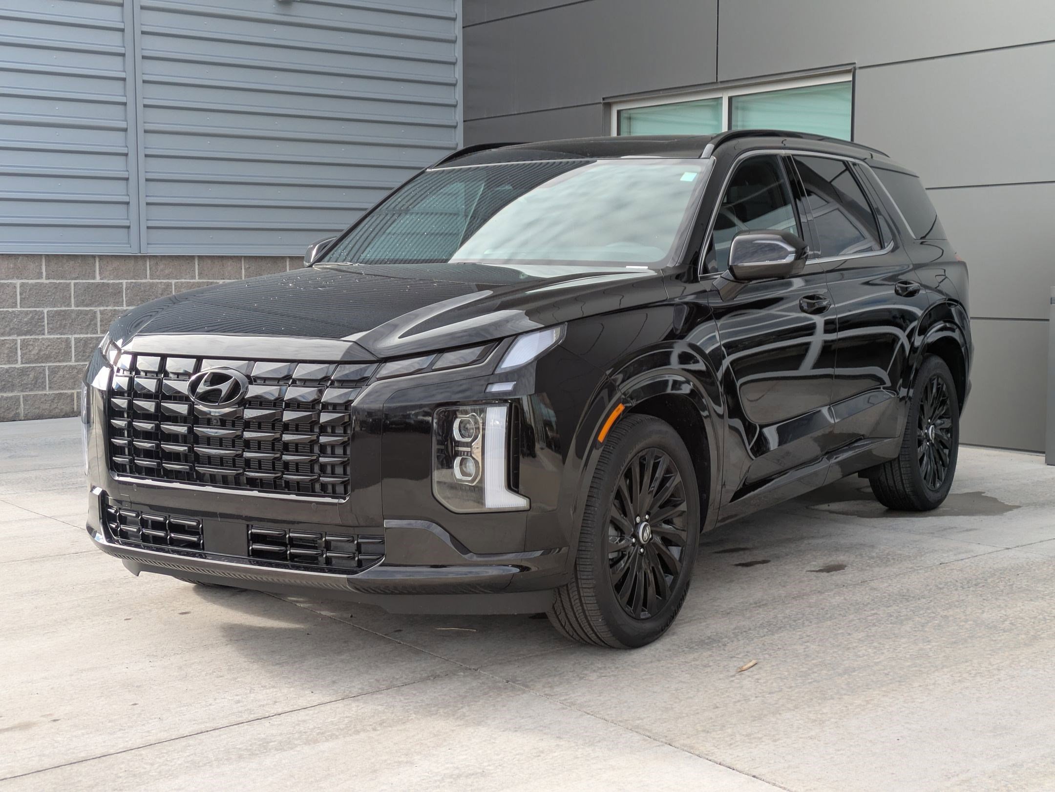 2025 Hyundai Palisade Calligraphy Night Edition's photo