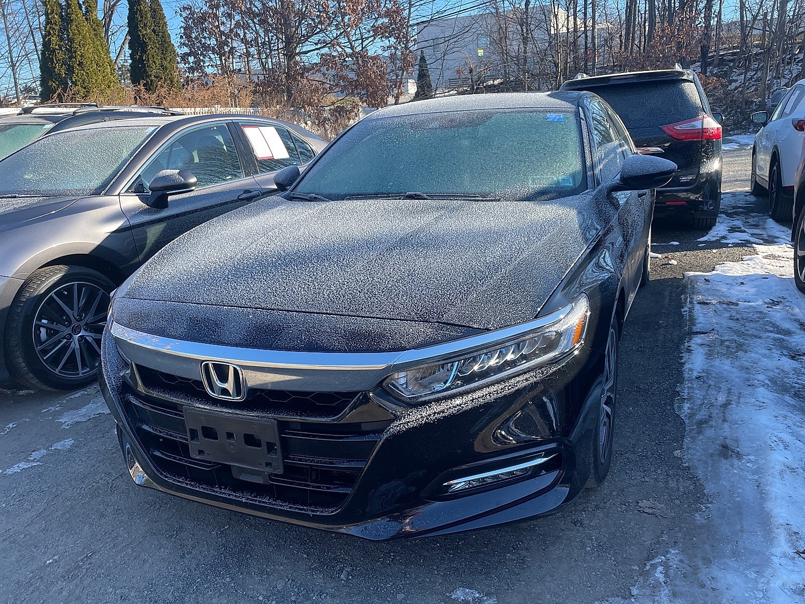 2020 Honda Accord Hybrid EX-L's photo