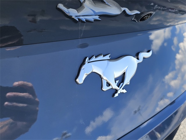 2025 Ford Mustang EcoBoost photo 12