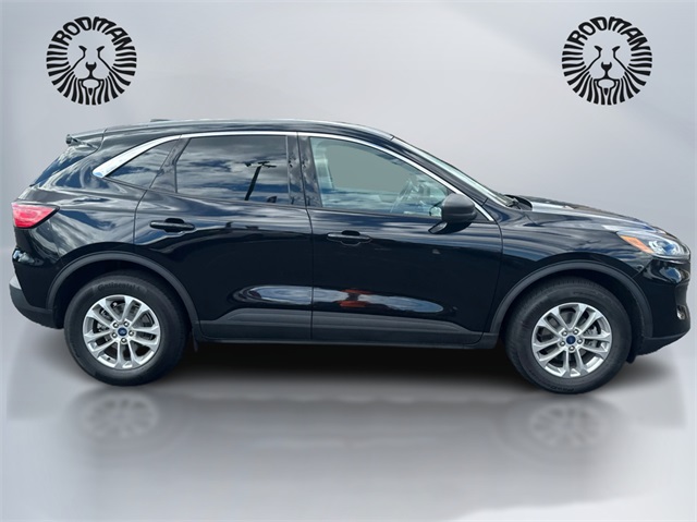 2022 Ford Escape SE photo 4