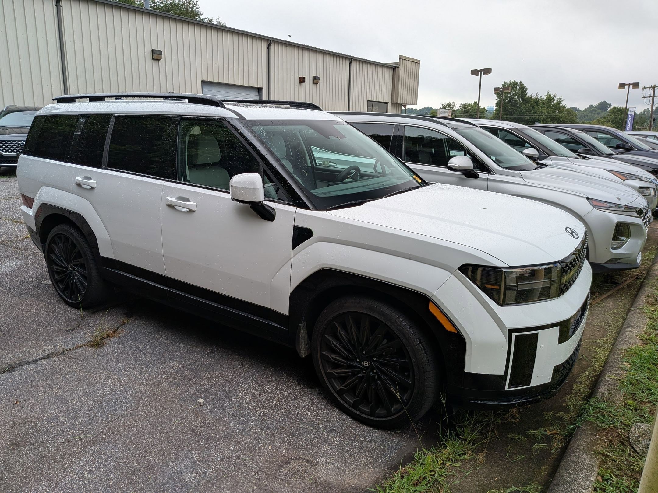Pre Owned 2025 Hyundai Santa Fe Calligraphy Sport Utility In Shreveport 1fa99d2e2c55c43886d10f34360348d7