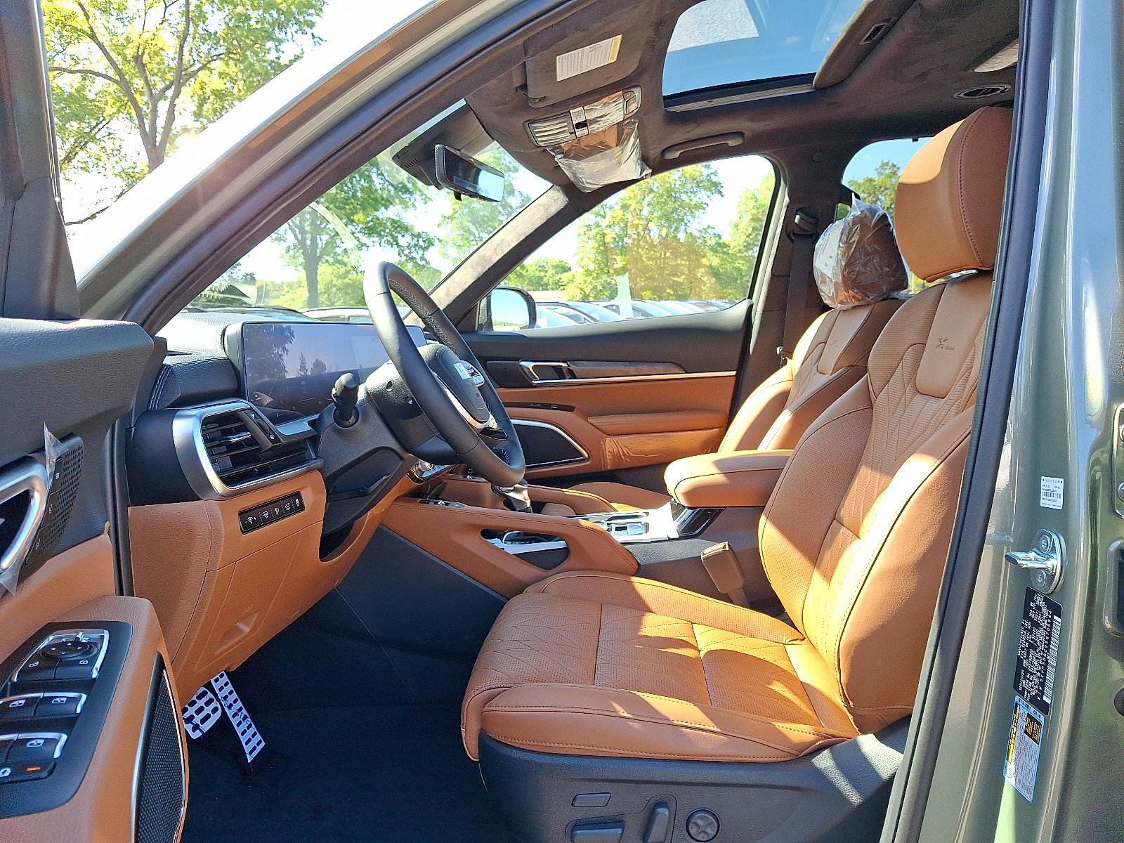 2025 Kia Telluride SX Prestige X-Line photo 8