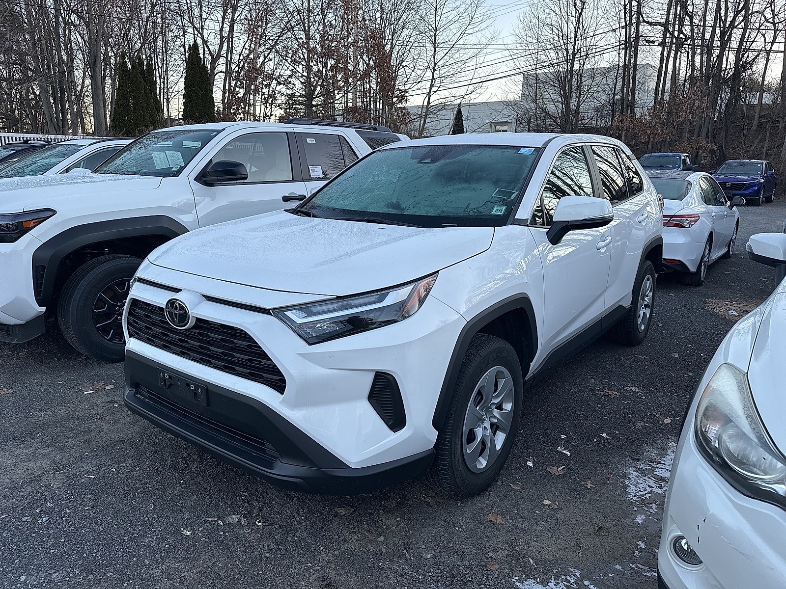 2023 Toyota RAV4 LE's photo