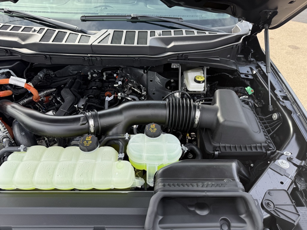 2025 Ford F-150 XLT photo 38