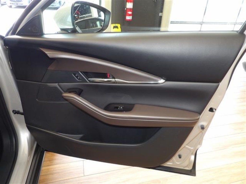 2023 Mazda CX-30 2.5 S Premium photo 12
