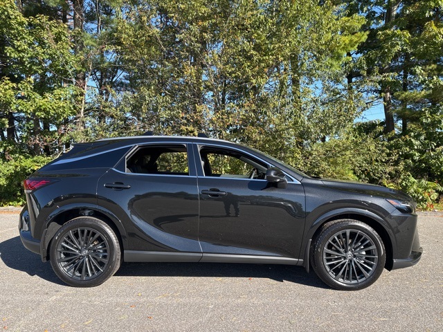 2025 Lexus RX 350 Premium photo 2