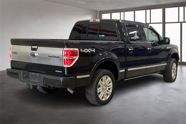 2013 Ford F-150 Platinum photo 2