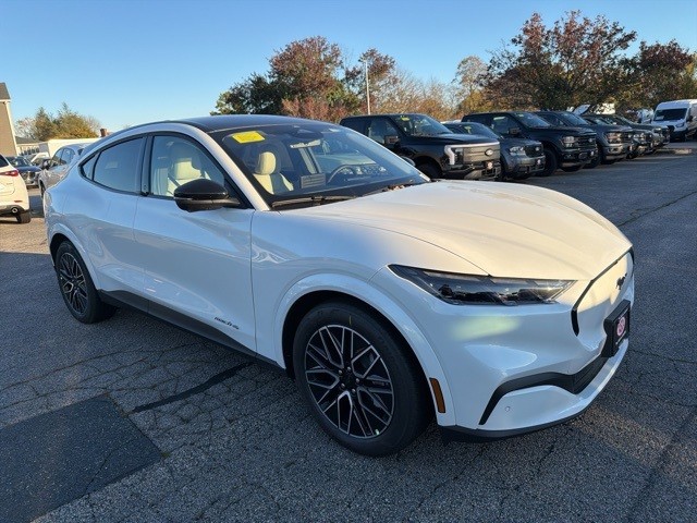 2025 Ford Mustang Mach-E Premium AWD's photo