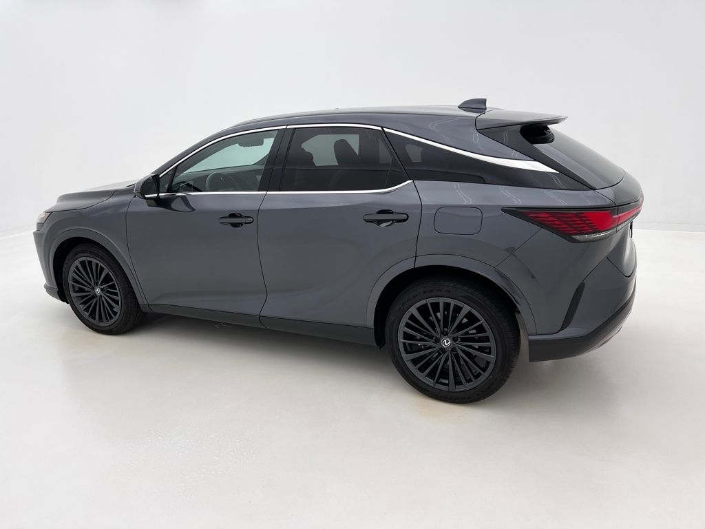 2024 Lexus RX 350 Premium photo 13