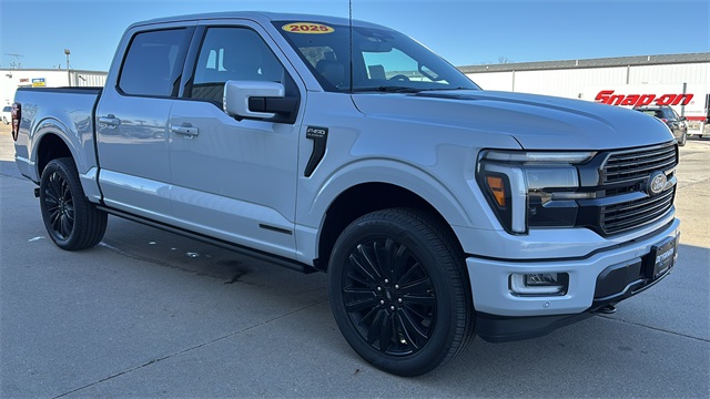 2025 Ford F-150 Platinum's photo