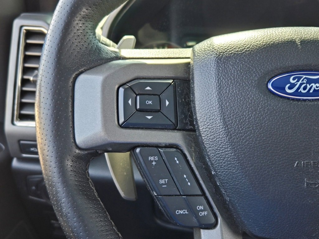 2019 Ford F-150 Raptor photo 32