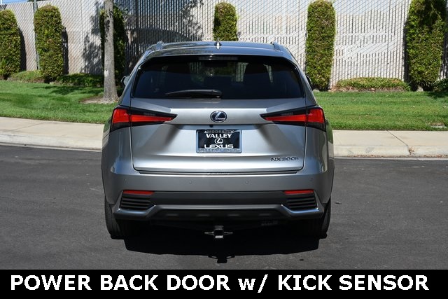 2019 Lexus NX 300h Luxury photo 2