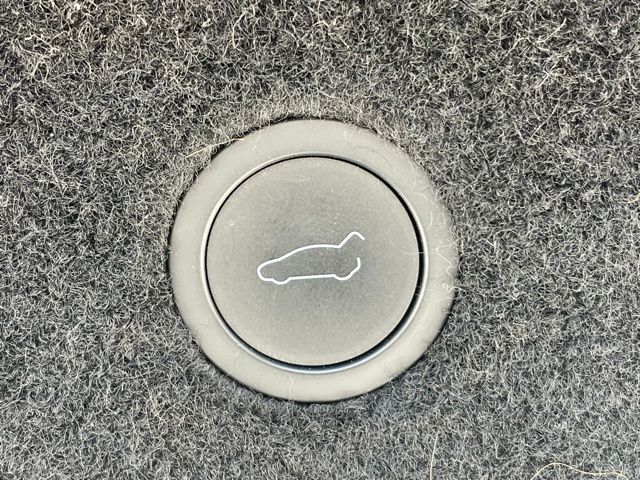 2024 Tesla Model X photo 9