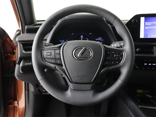 2025 Lexus UX Premium photo 20