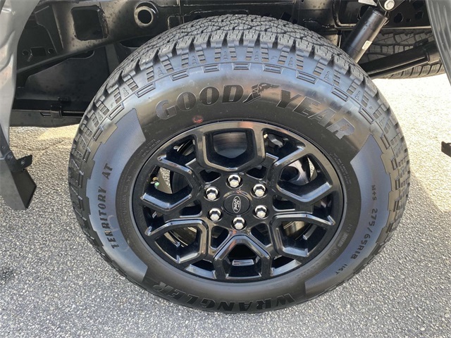 2025 Ford F-150 XLT photo 6