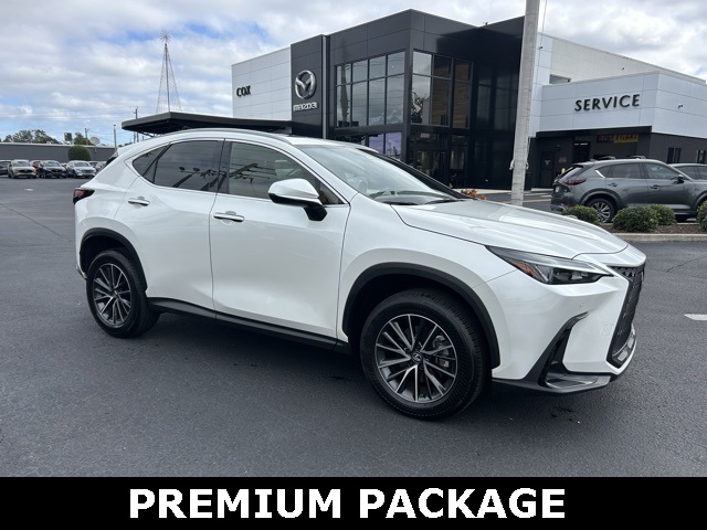 2024 Lexus NX 250's photo