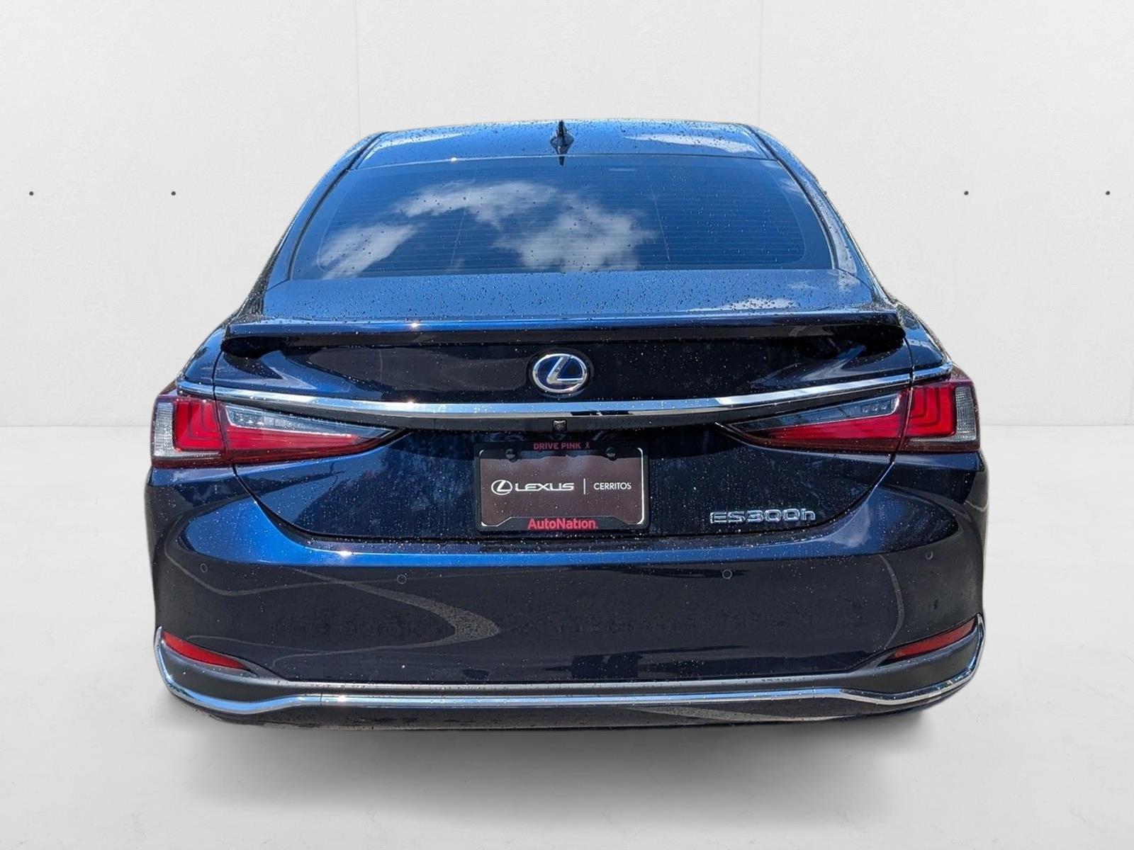 2021 Lexus ES Luxury photo 7