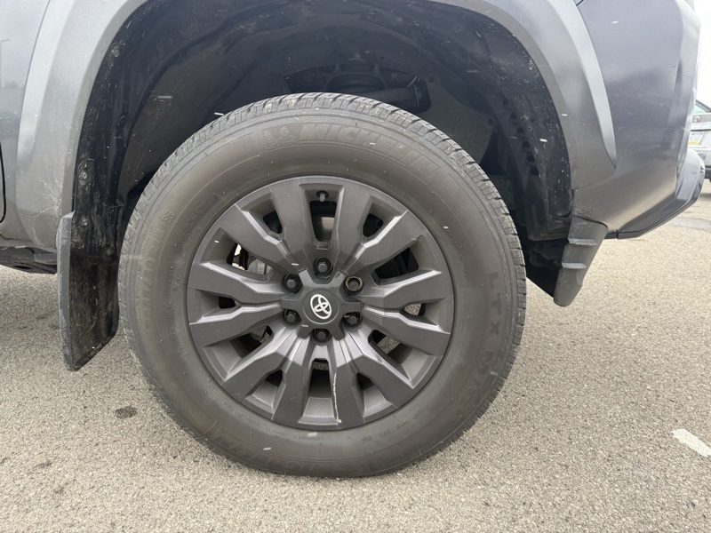 2023 Toyota Tacoma Limited photo 4