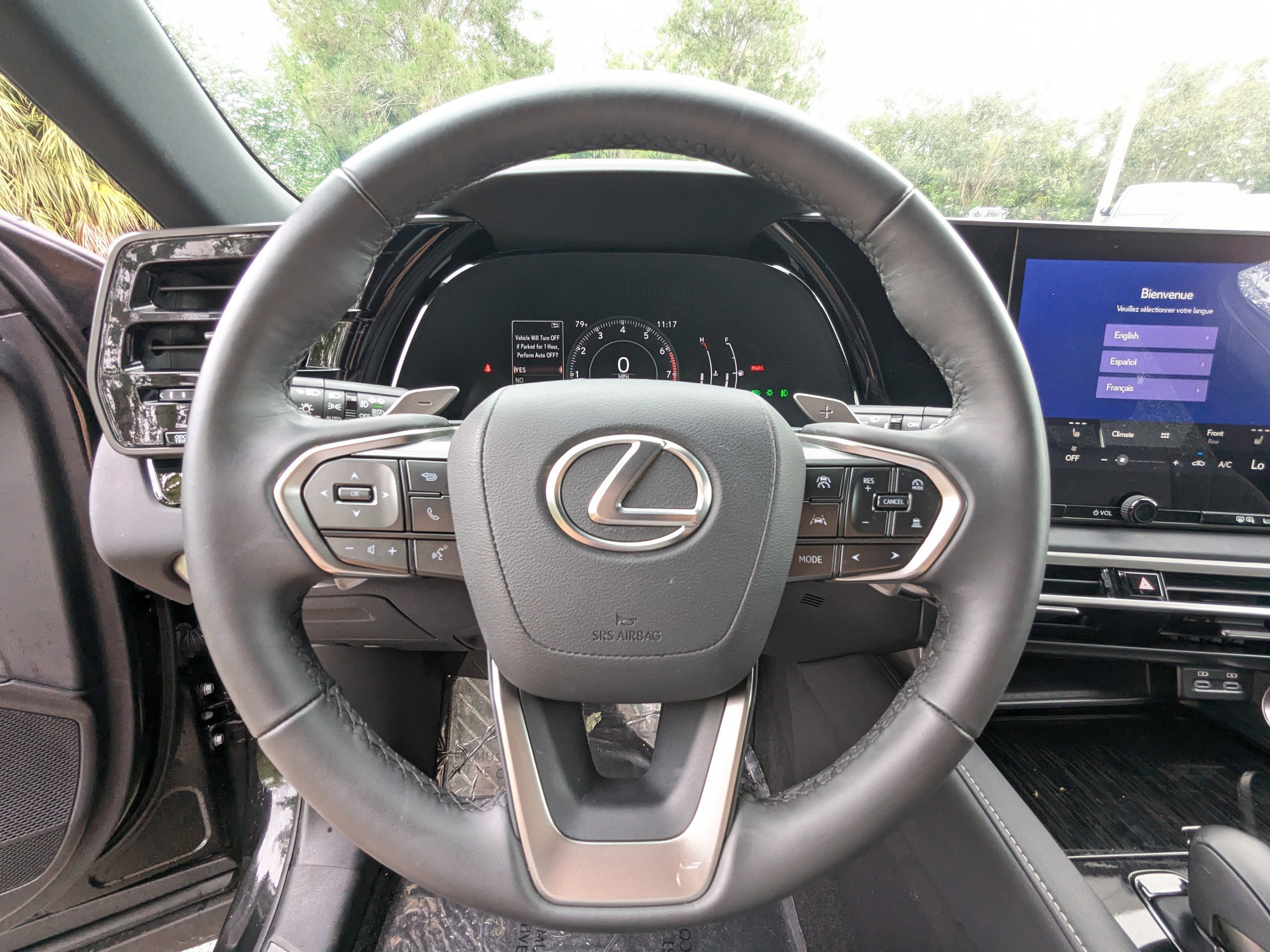 2024 Lexus RX 350 photo 33