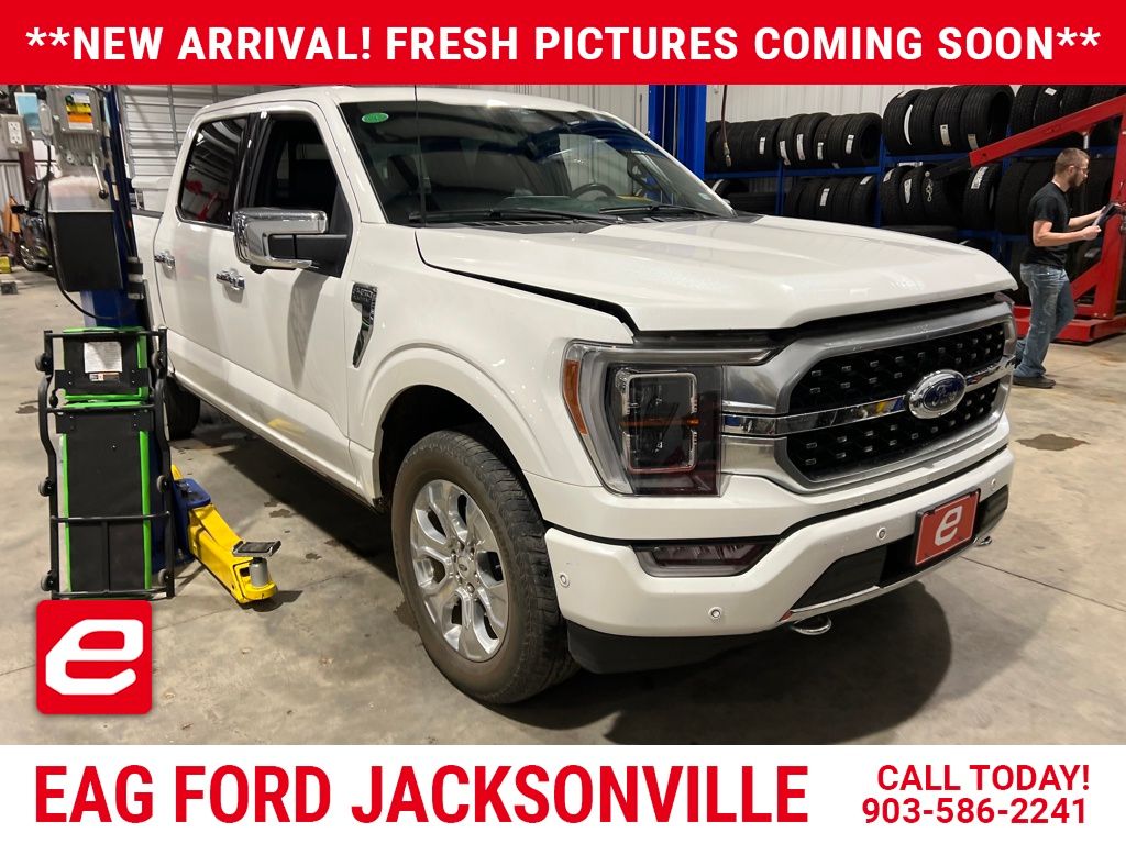 2023 Ford F-150 Platinum's photo