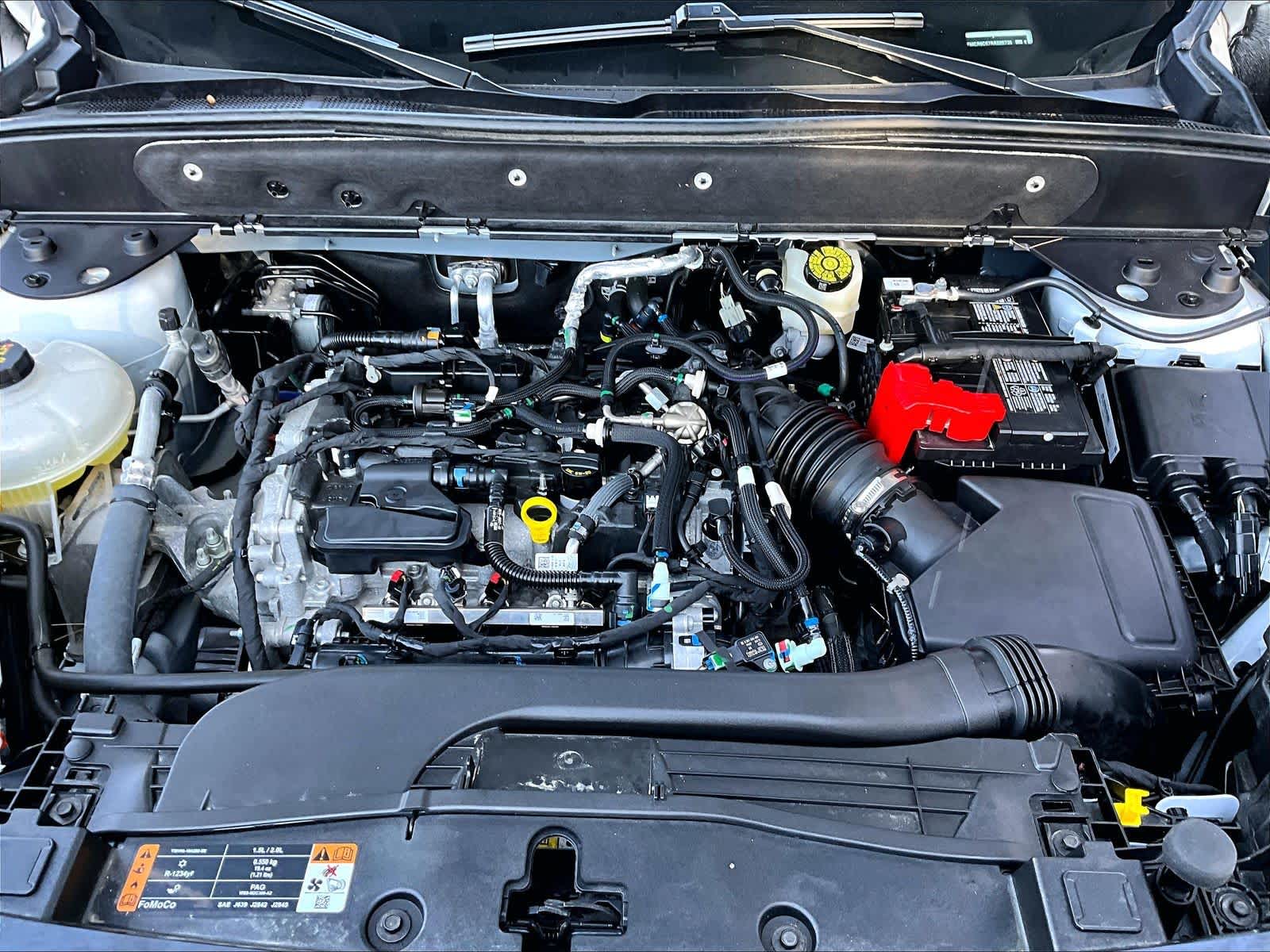 1b65bab663a6ca23c4872a131350bb97