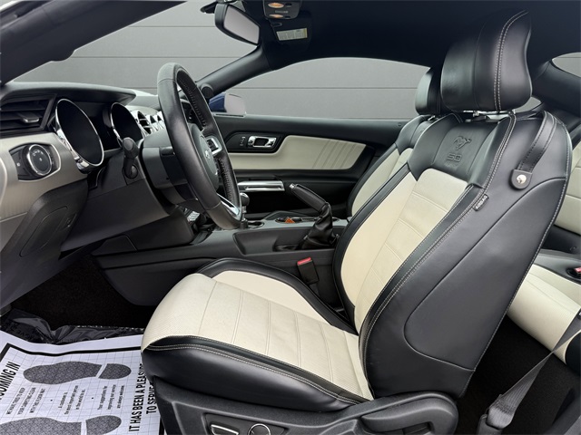 2015 Ford Mustang GT 50th Anniversary Edition photo 12