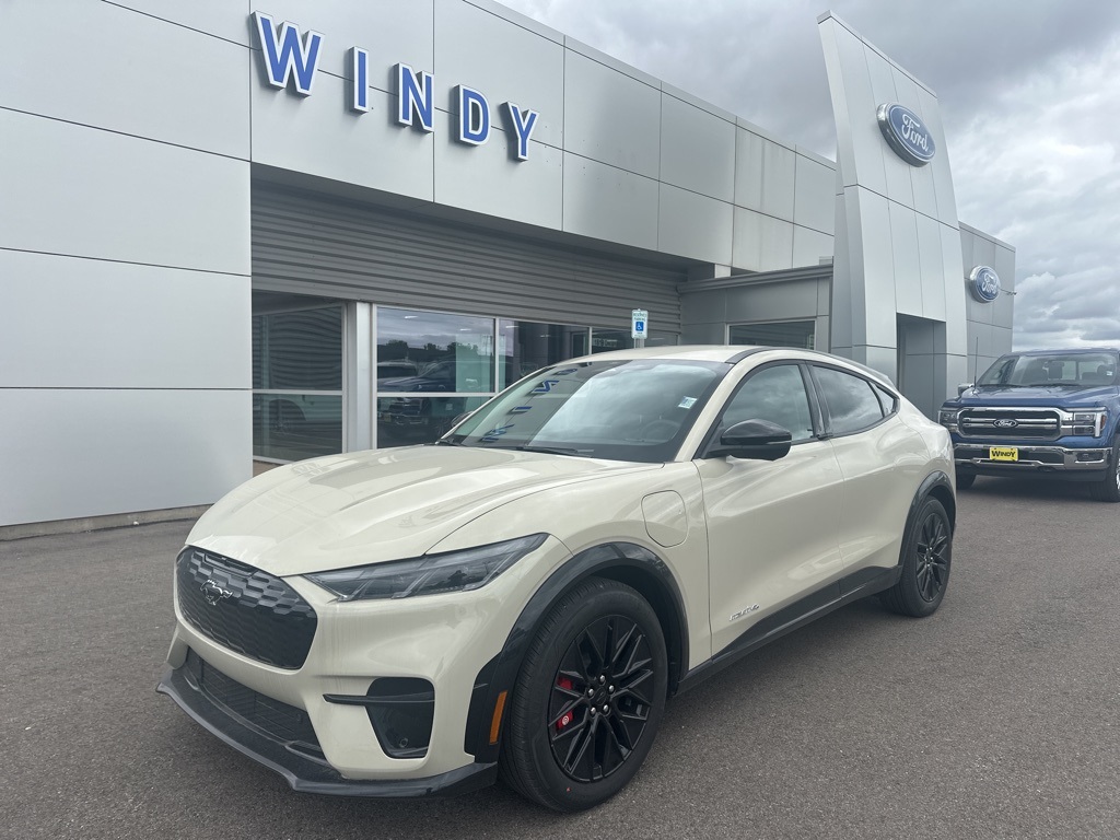 New 2025 Desert Sand Ford Premium image 1