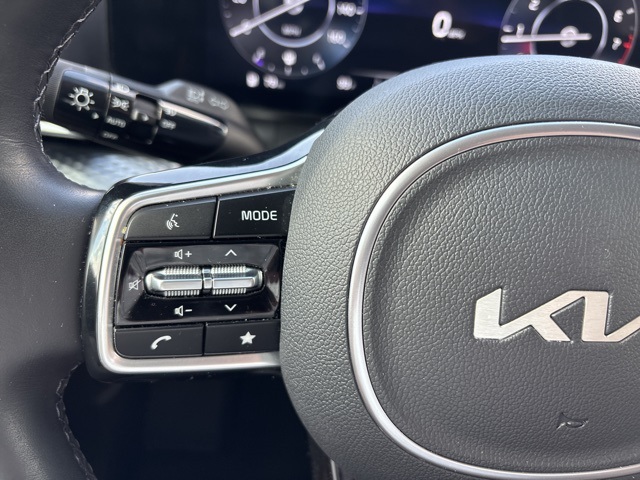 2023 Kia Carnival SX Prestige photo 19