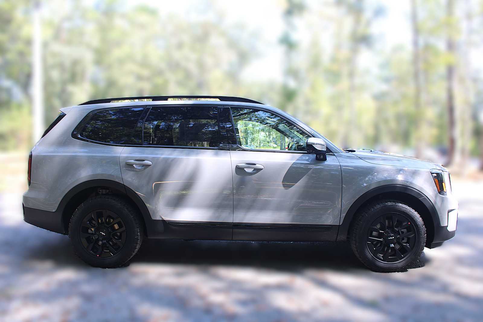 2025 Kia Telluride SX X-Line photo 10