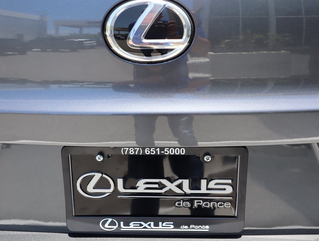 2025 Lexus UX photo 18
