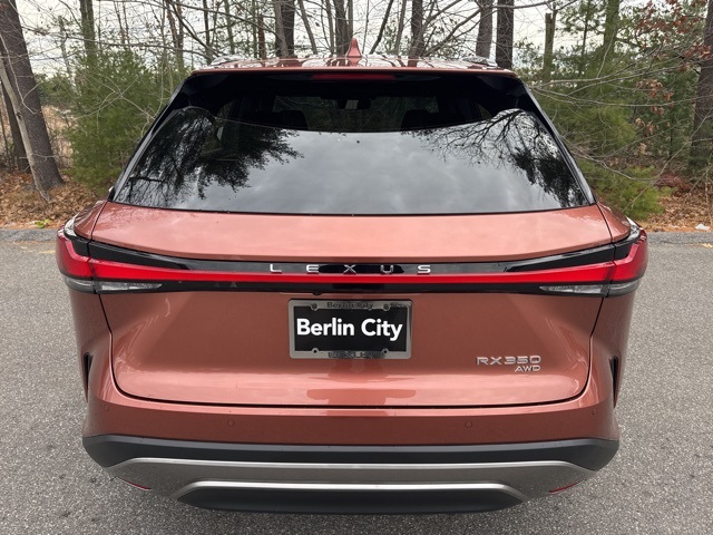2026 Lexus RX 350 Luxury photo 4