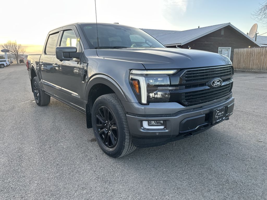 2025 Ford F-150 Platinum's photo
