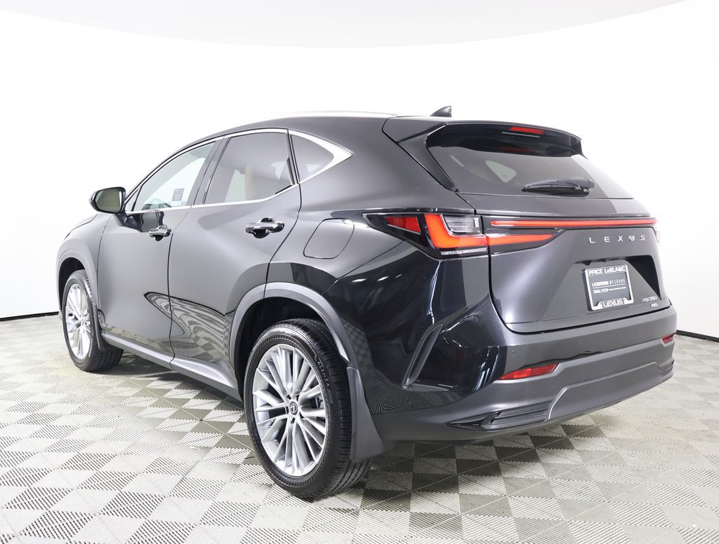 2024 Lexus NX 350 Luxury photo 2