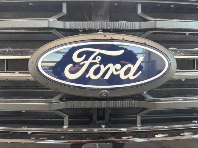2025 Ford F-150 XLT photo 3