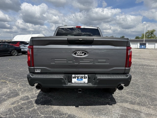 2025 Ford F-150 STX photo 6